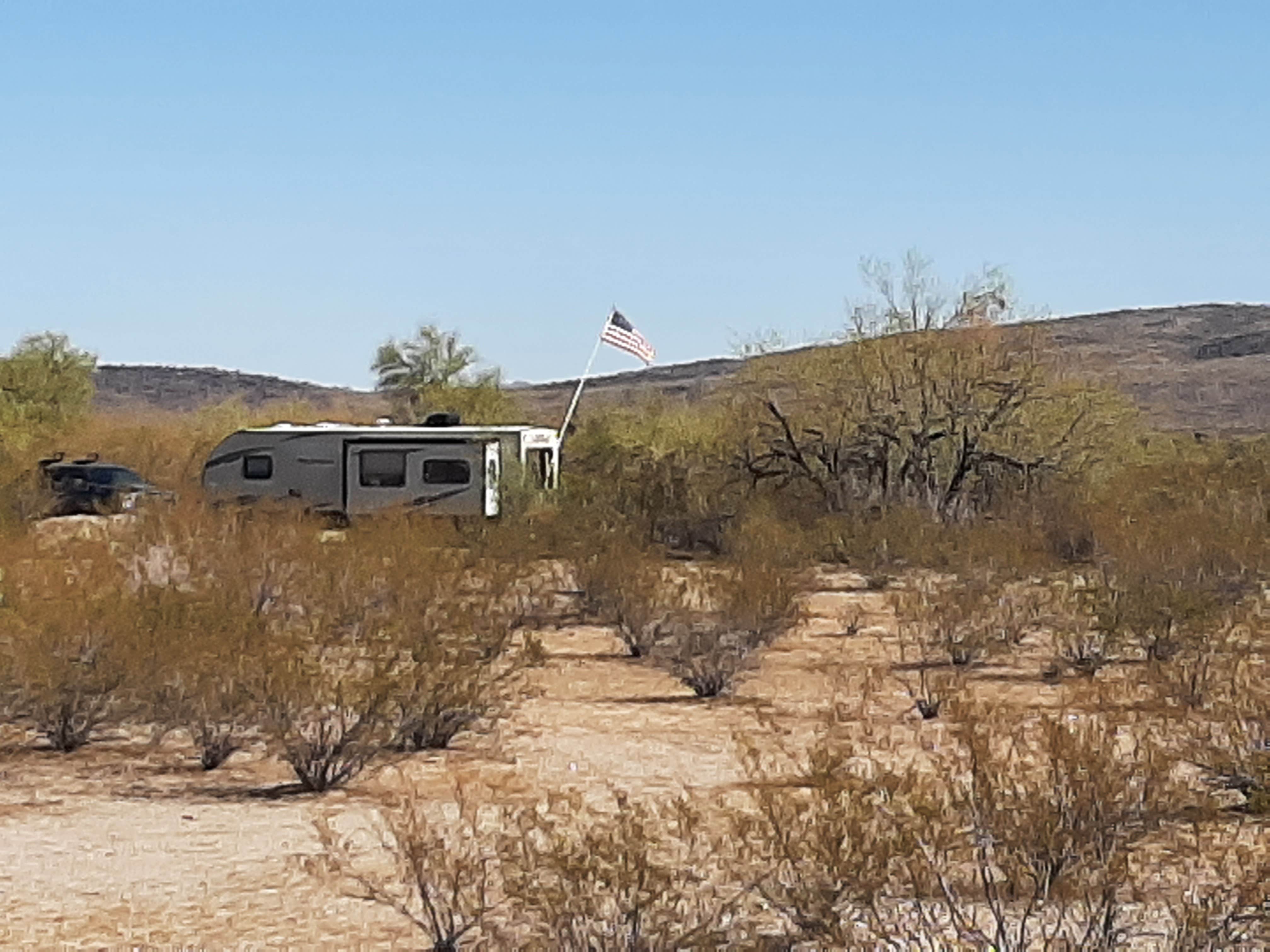 Camper submitted image from Ajo Regional Park - Dennison Camping Area - 4