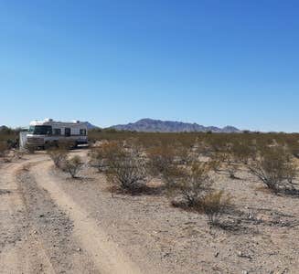 Camper-submitted photo from Ajo Regional Park - Dennison Camping Area