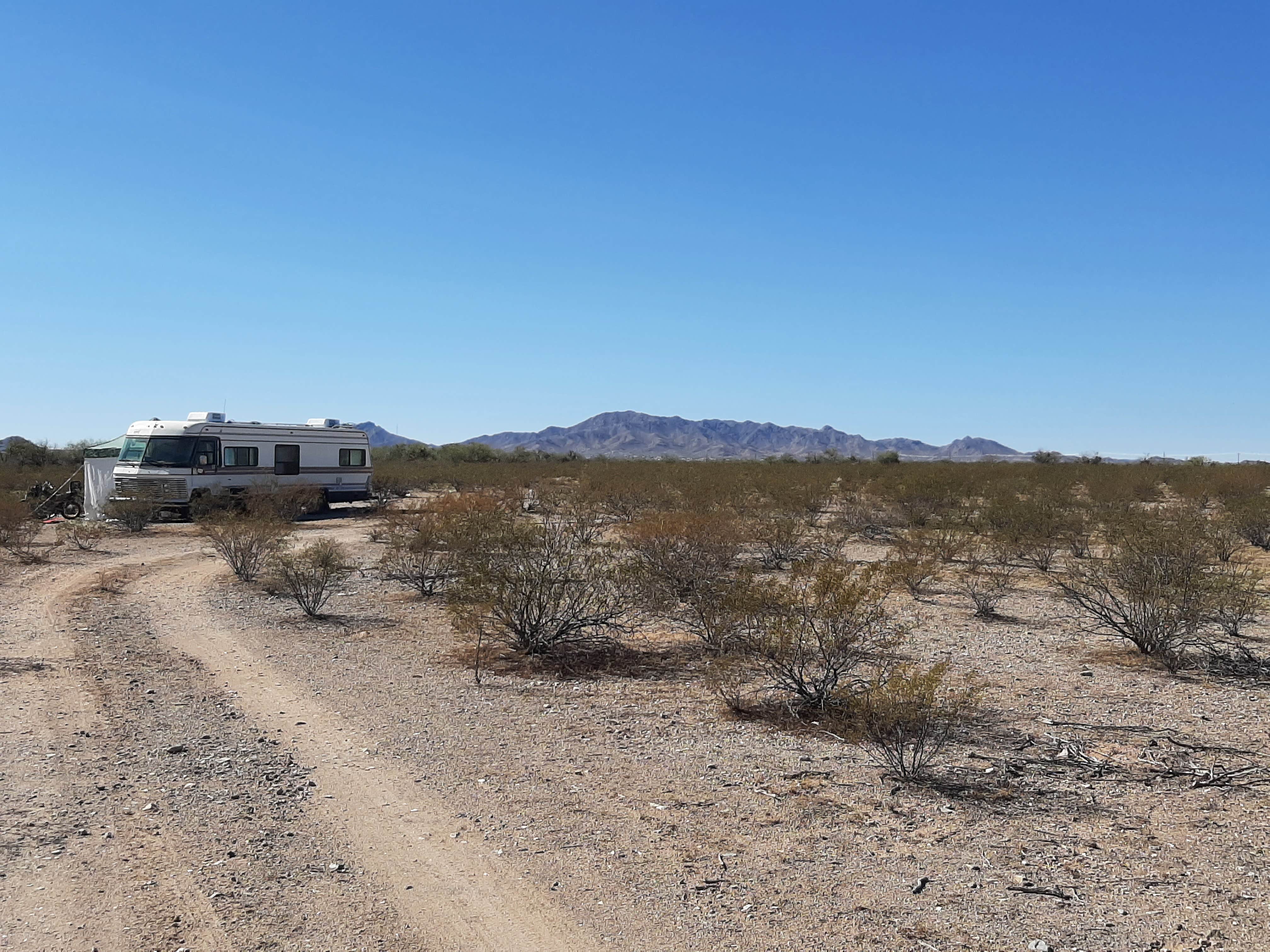 Camper submitted image from Ajo Regional Park - Dennison Camping Area - 2