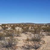 Review photo of Ajo Regional Park - Dennison Camping Area by Larry B., February 17, 2021