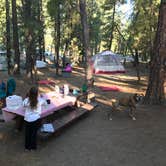 Review photo of Grasshopper Flat by Ron G., February 18, 2021