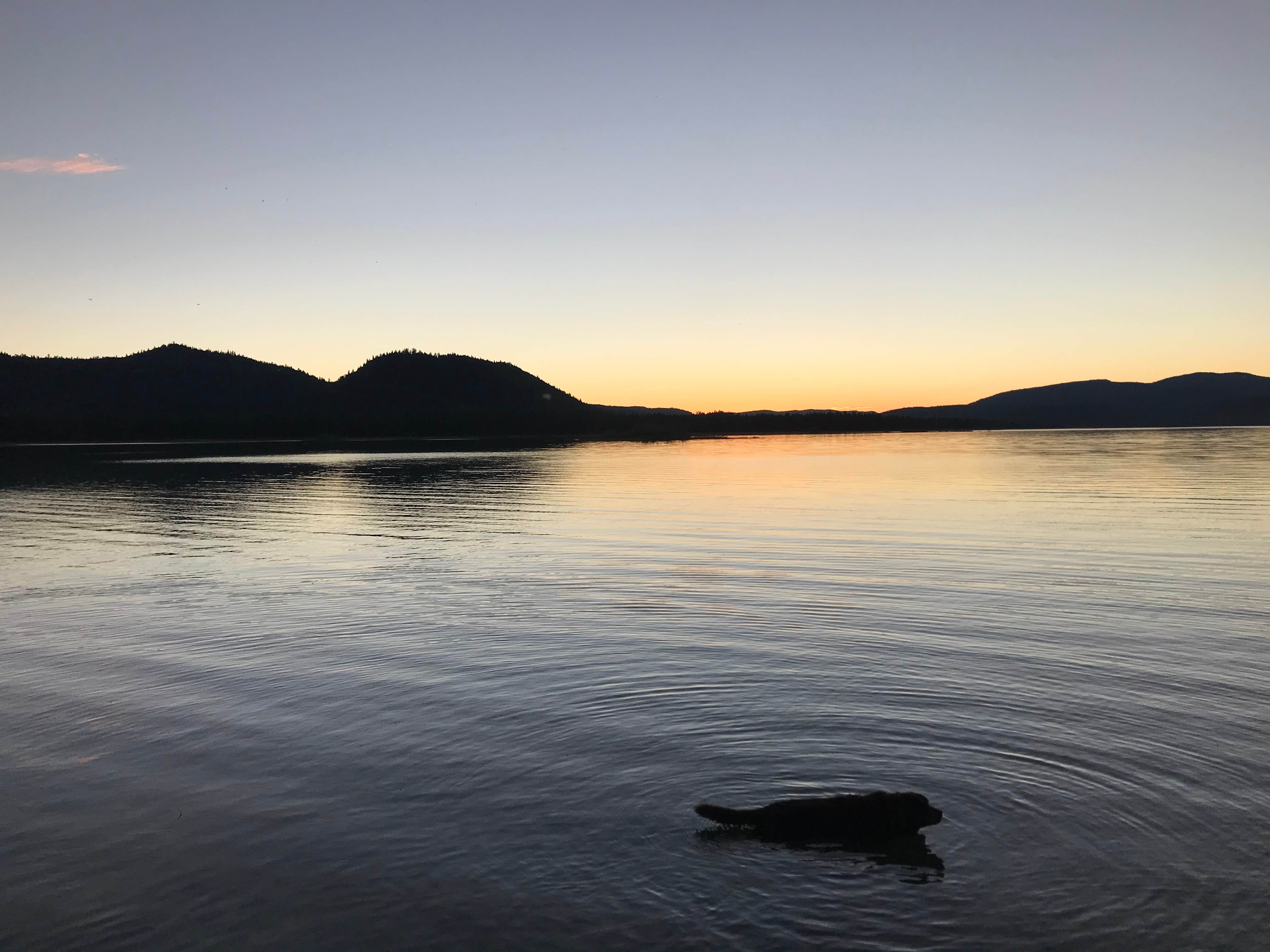 Camper-submitted photo at Grasshopper Flat near Clio, CA