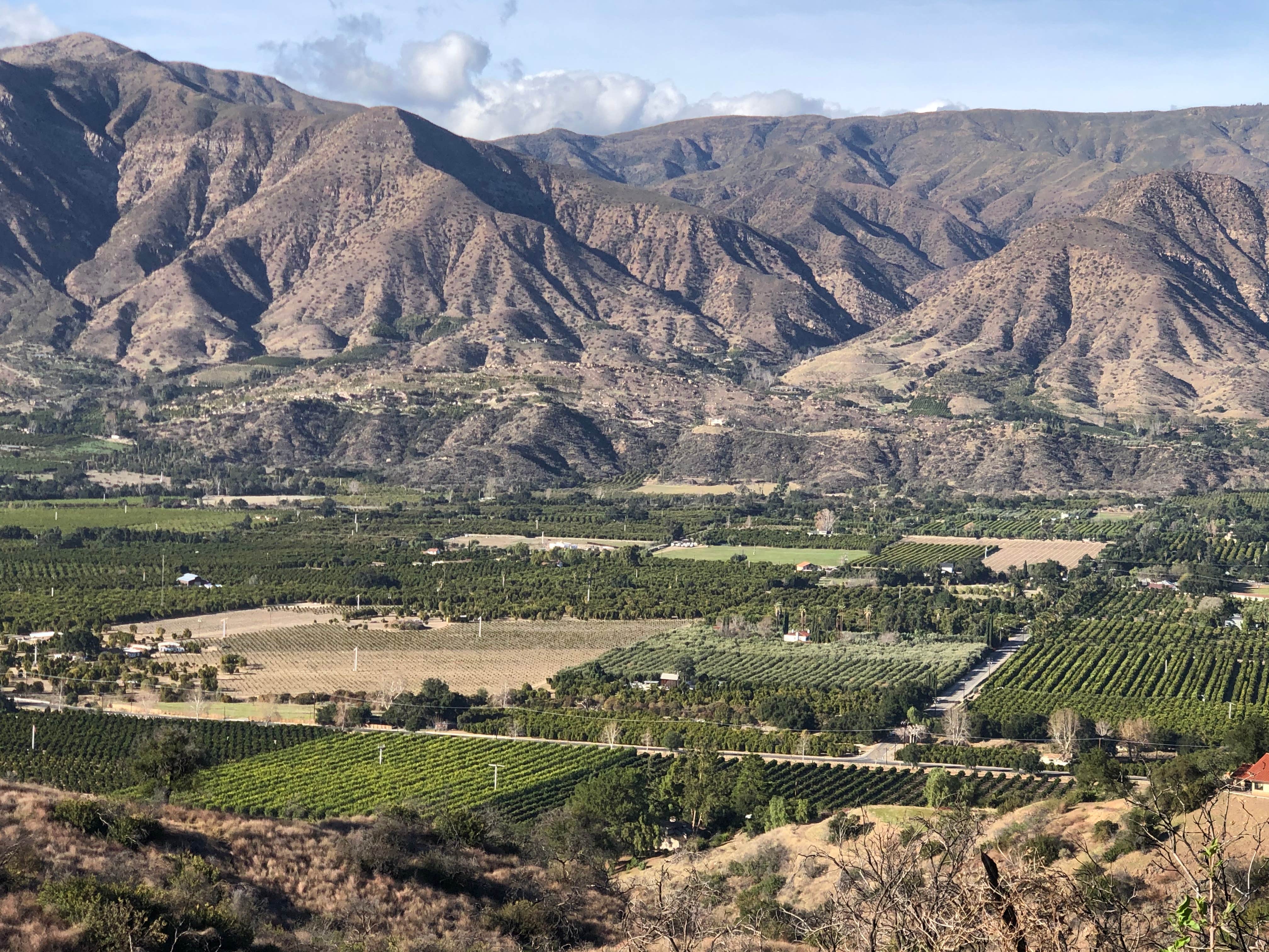 Camper-submitted photo at Dennison Park near Ventura, CA