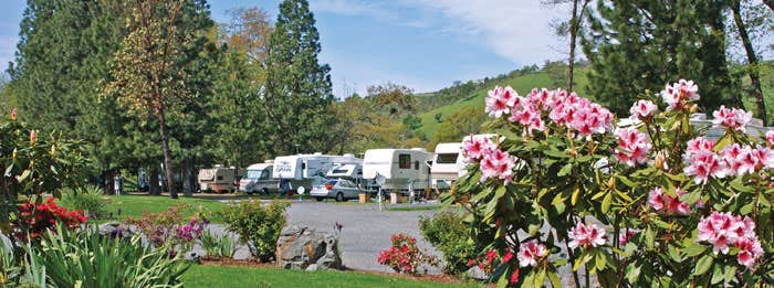 Camper submitted image from Rivers West South Umpqua Campground - 1