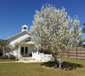 Camper-submitted photo at Sunset King RV Resort near Silver Springs, FL