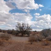 Review photo of Plomosa Rd. Quinn Pass BLM Dispersed Camping by Dee S., February 18, 2021