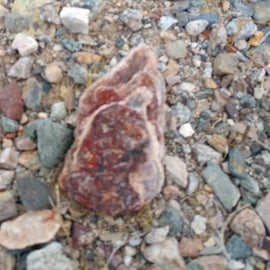 Photo was kind of blurry but this is one of many interesting rocks I found.