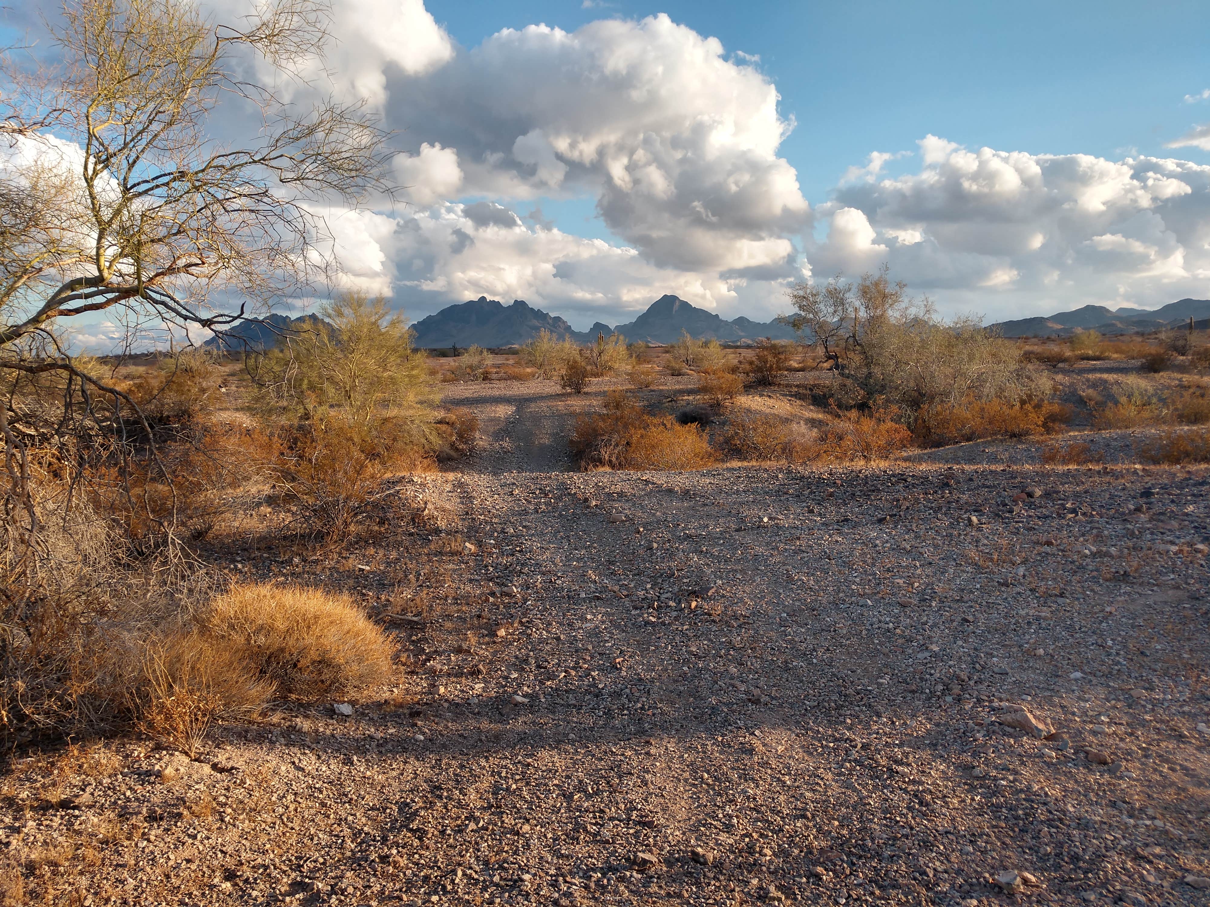 Dee S.'s photo of a dispersed camping area at Plomosa Rd. Quinn Pass BLM Dispersed Camping near Earp, CA