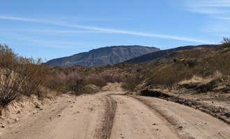 Camping near Buena Vista Trailhead Dispersed: EADS Wash , Roosevelt, Arizona