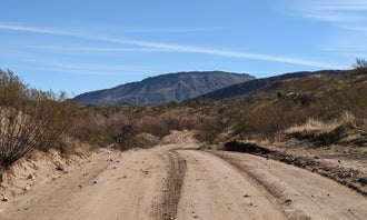 Camping near 1483 Off Road: EADS Wash , Roosevelt, Arizona