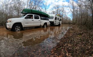 Gregg G.'s photo of rv camping at Cotton Lake near Uriah, AL