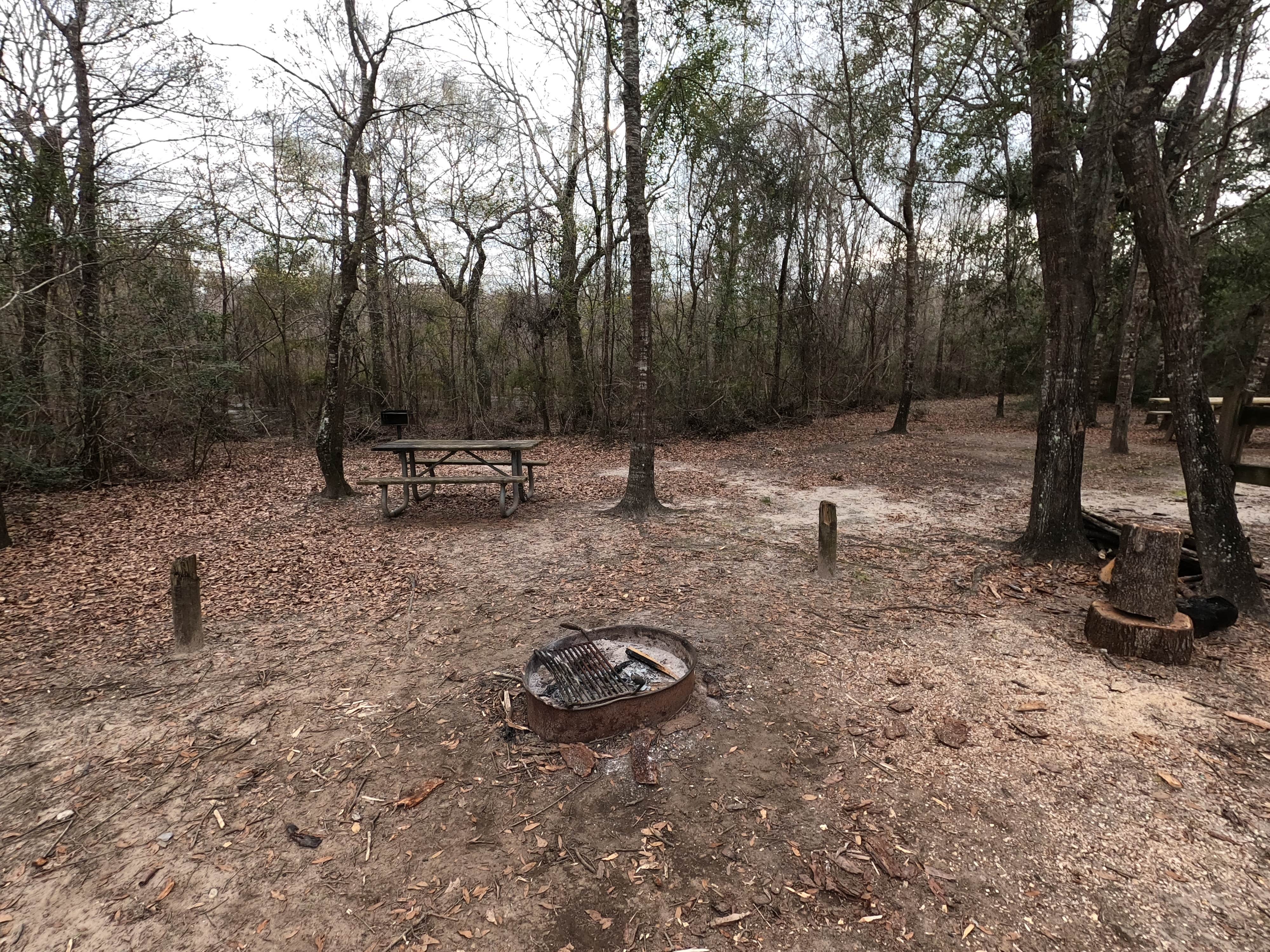 Camper submitted image from Cotton Lake - 5