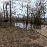 Review photo of Cotton Lake  by Gregg G., February 18, 2021