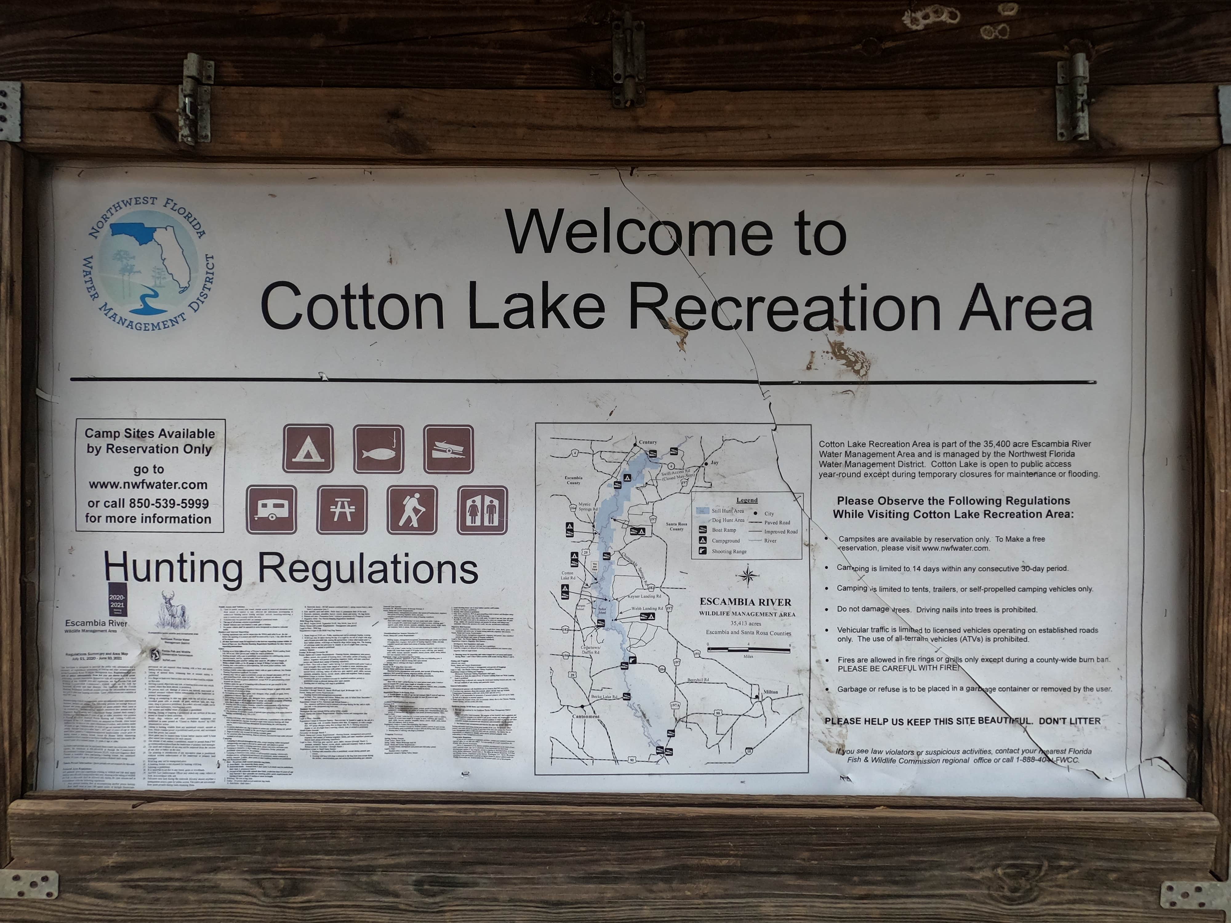 Camper submitted image from Cotton Lake - 4