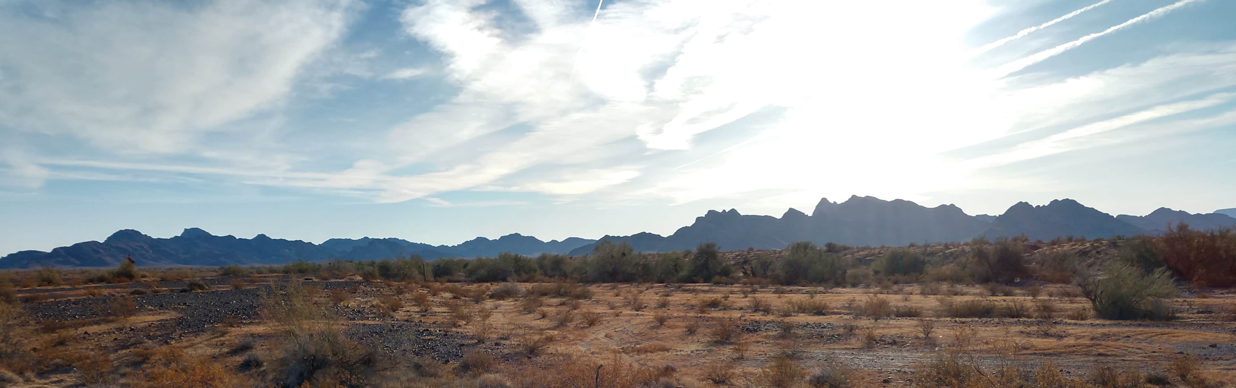 Camper-submitted photo at Scaddan Wash near Quartzsite, AZ