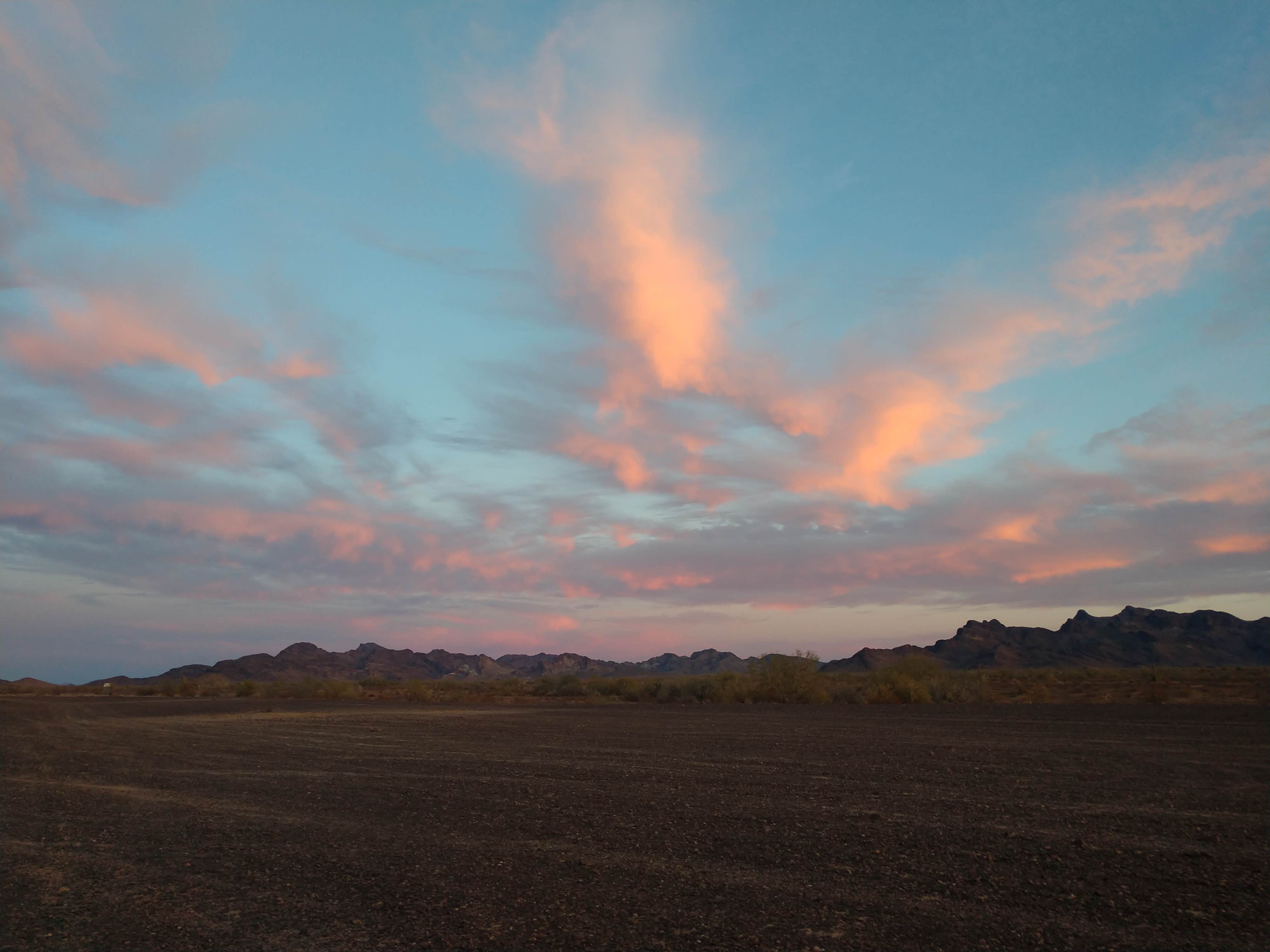 Plamosa BLM Dispersed Camping Area Quartzsite, AZ
