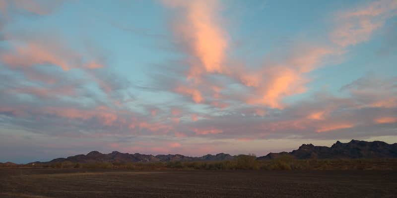 Camper submitted image from Plomosa BLM Dispersed Camping Area
