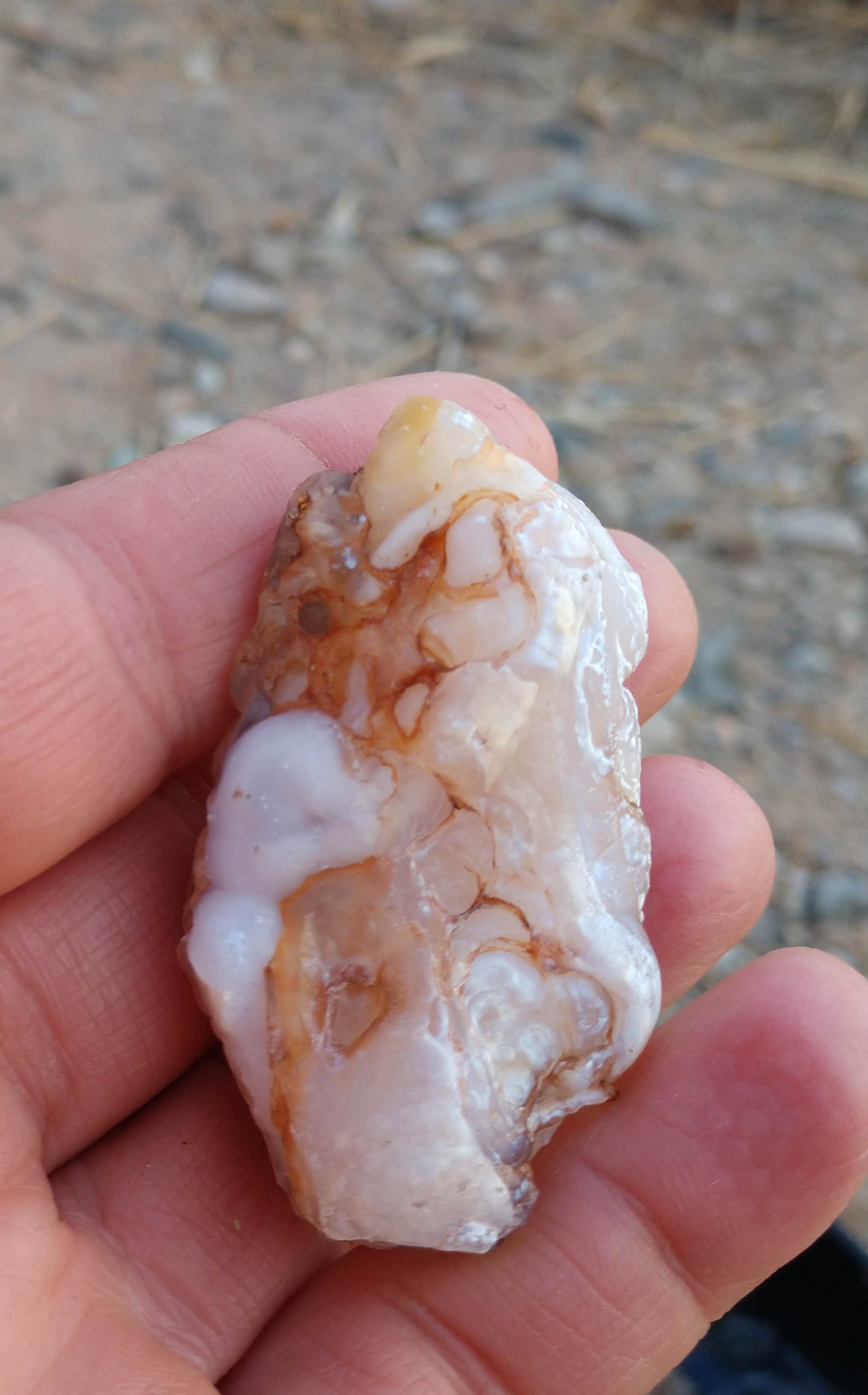 Camper-submitted photo at Plamosa BLM Dispersed Camping Area near Wenden, AZ