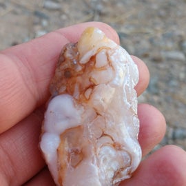 One of the agates I found on my daily walks