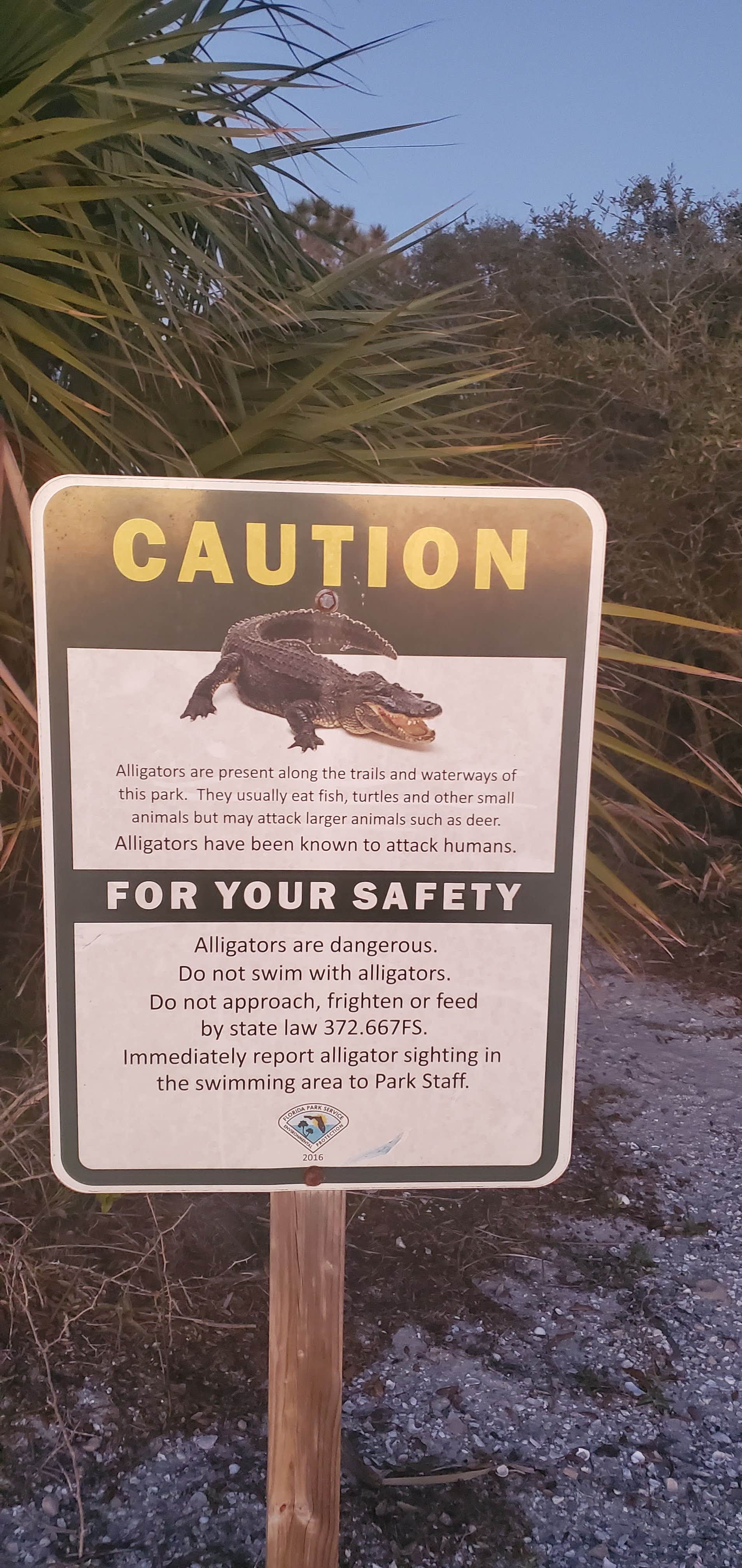 Camper-submitted photo at Grayton Beach State Park Campground near Destin, FL