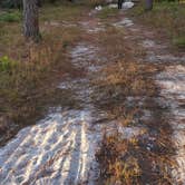 Review photo of Grayton Beach State Park Campground by Jeffrey S., February 18, 2021