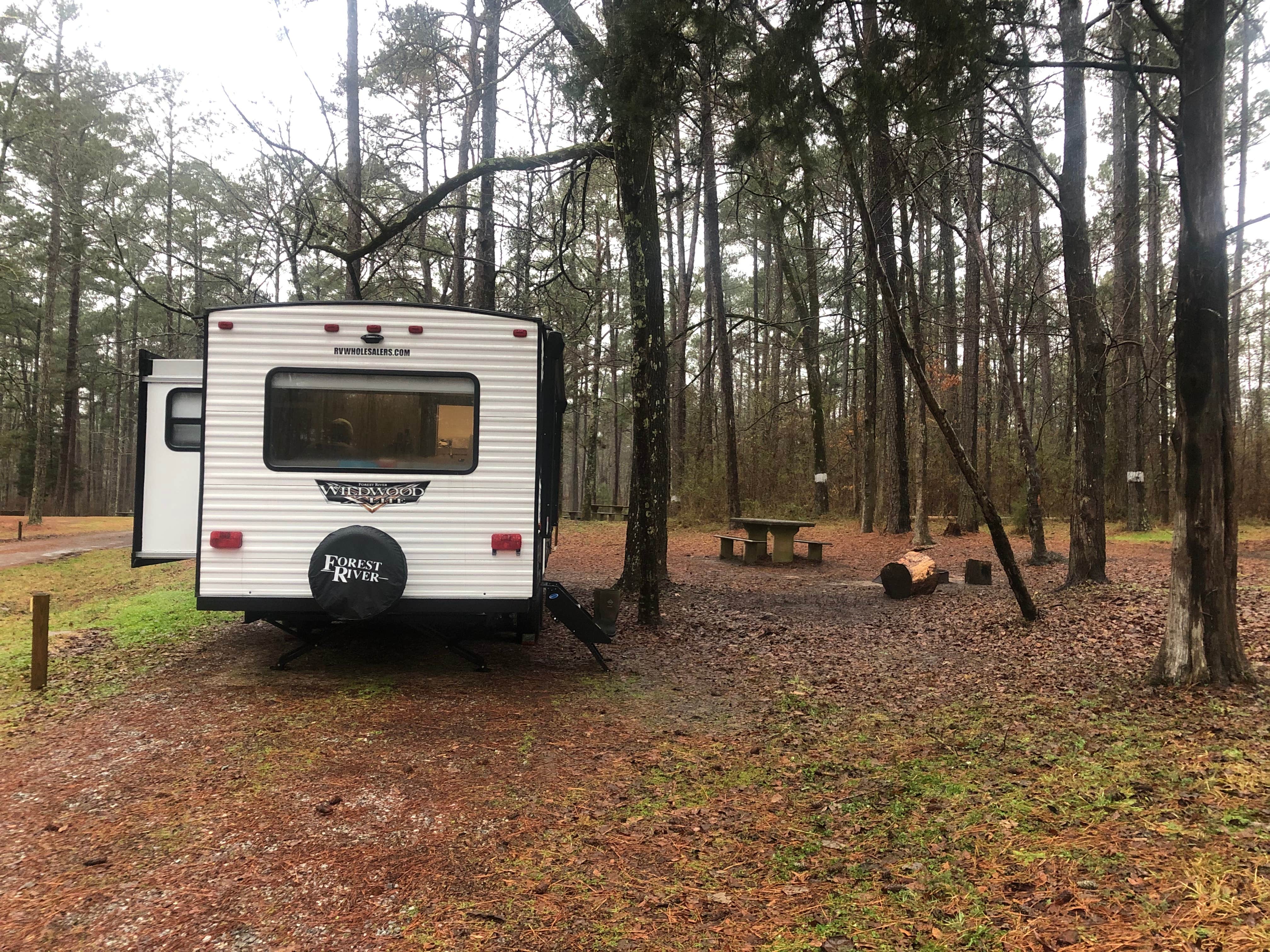 Camper-submitted photo at Brick House Campground (Sc) — Francis Marion And Sumter National Forests near Cross Anchor, SC