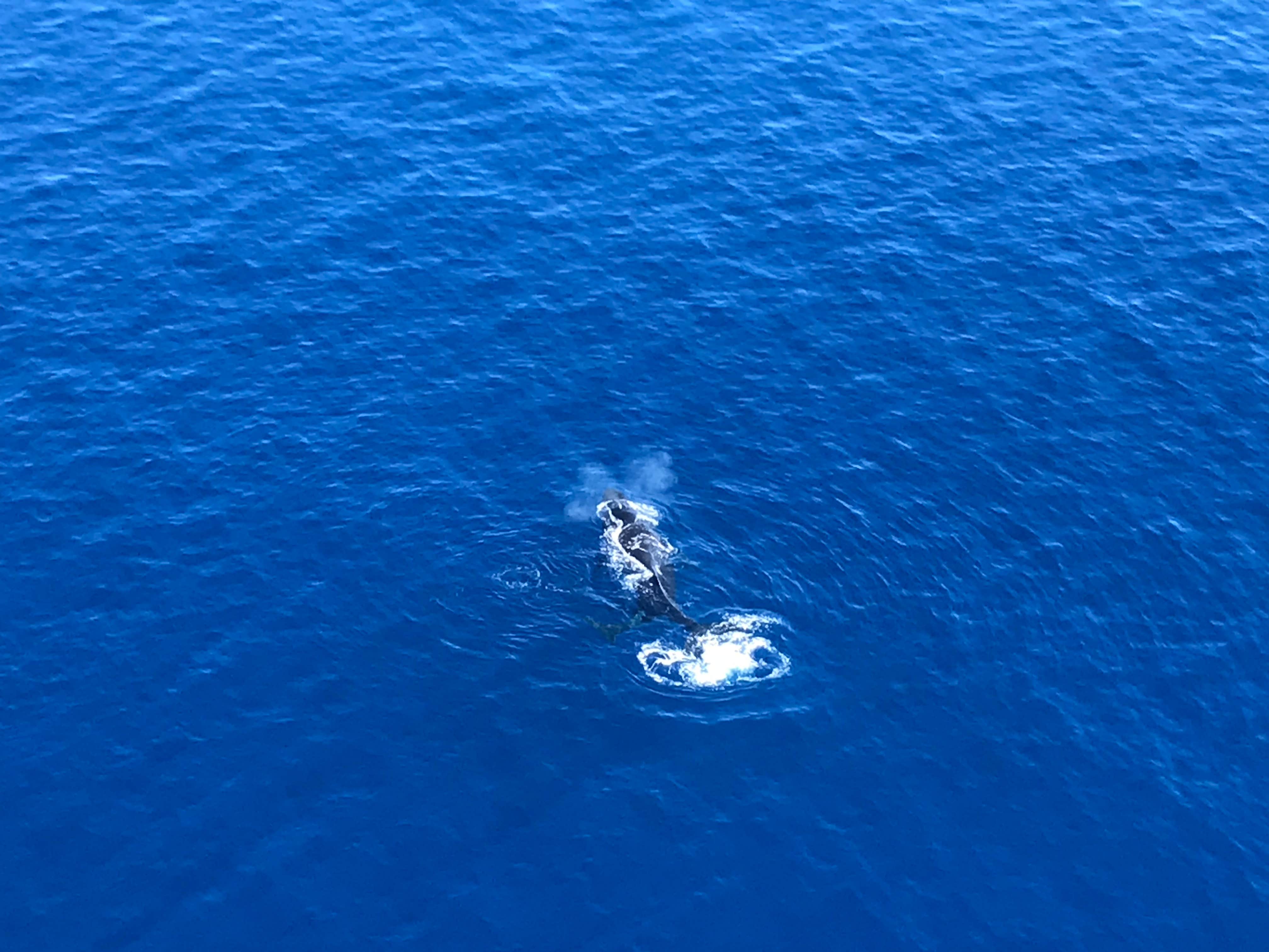 Camper-submitted photo at Mālaekahana State Recreation Area in Hawaii