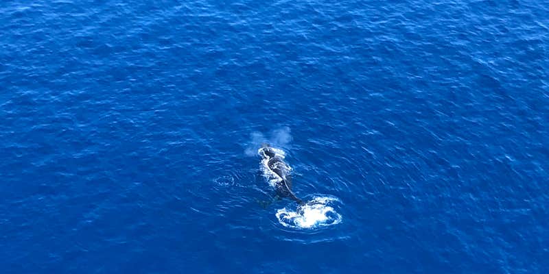 Camper submitted image from Mālaekahana State Recreation Area