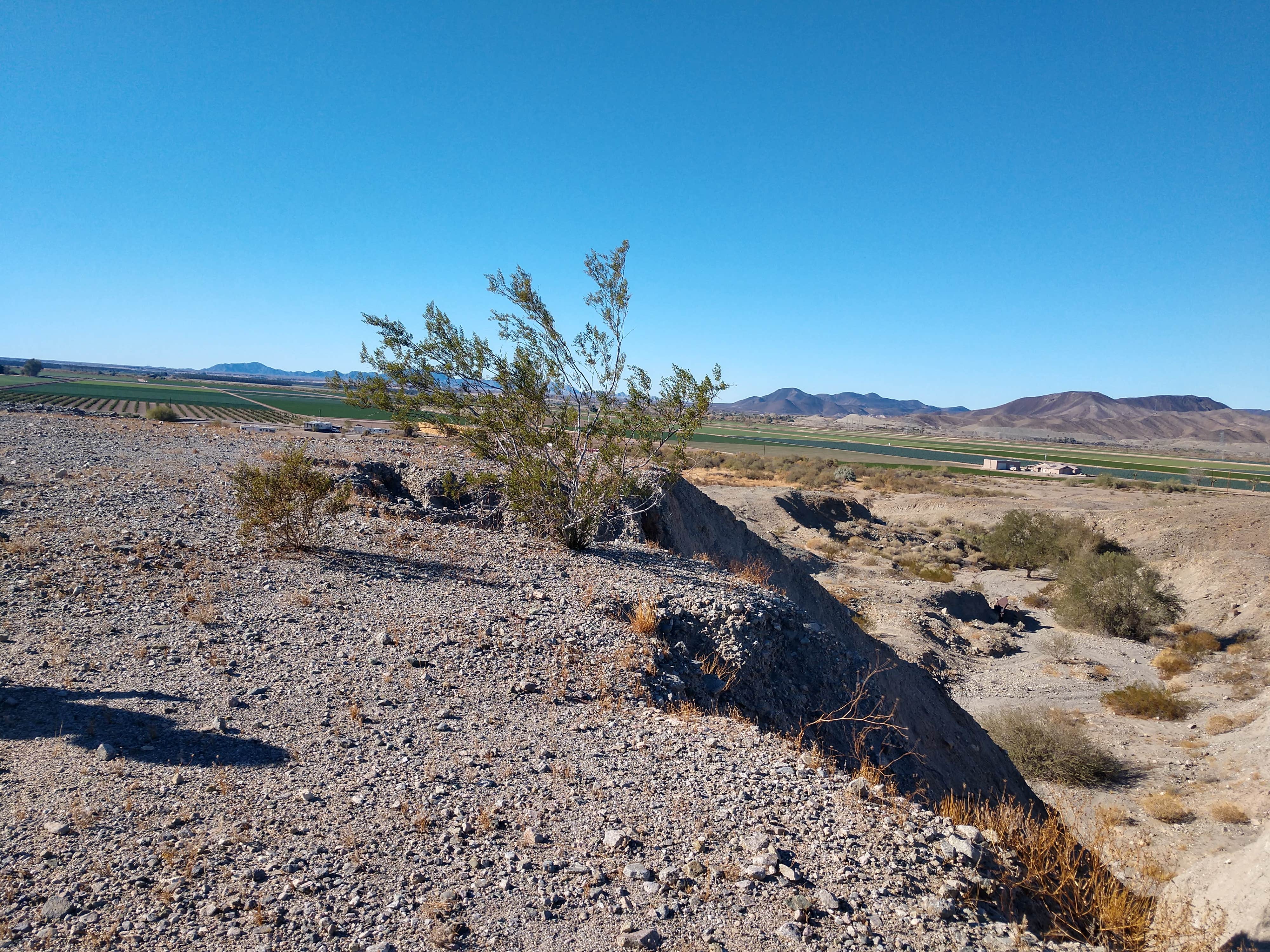 Camper submitted image from Kool Corner BLM Campground - 3