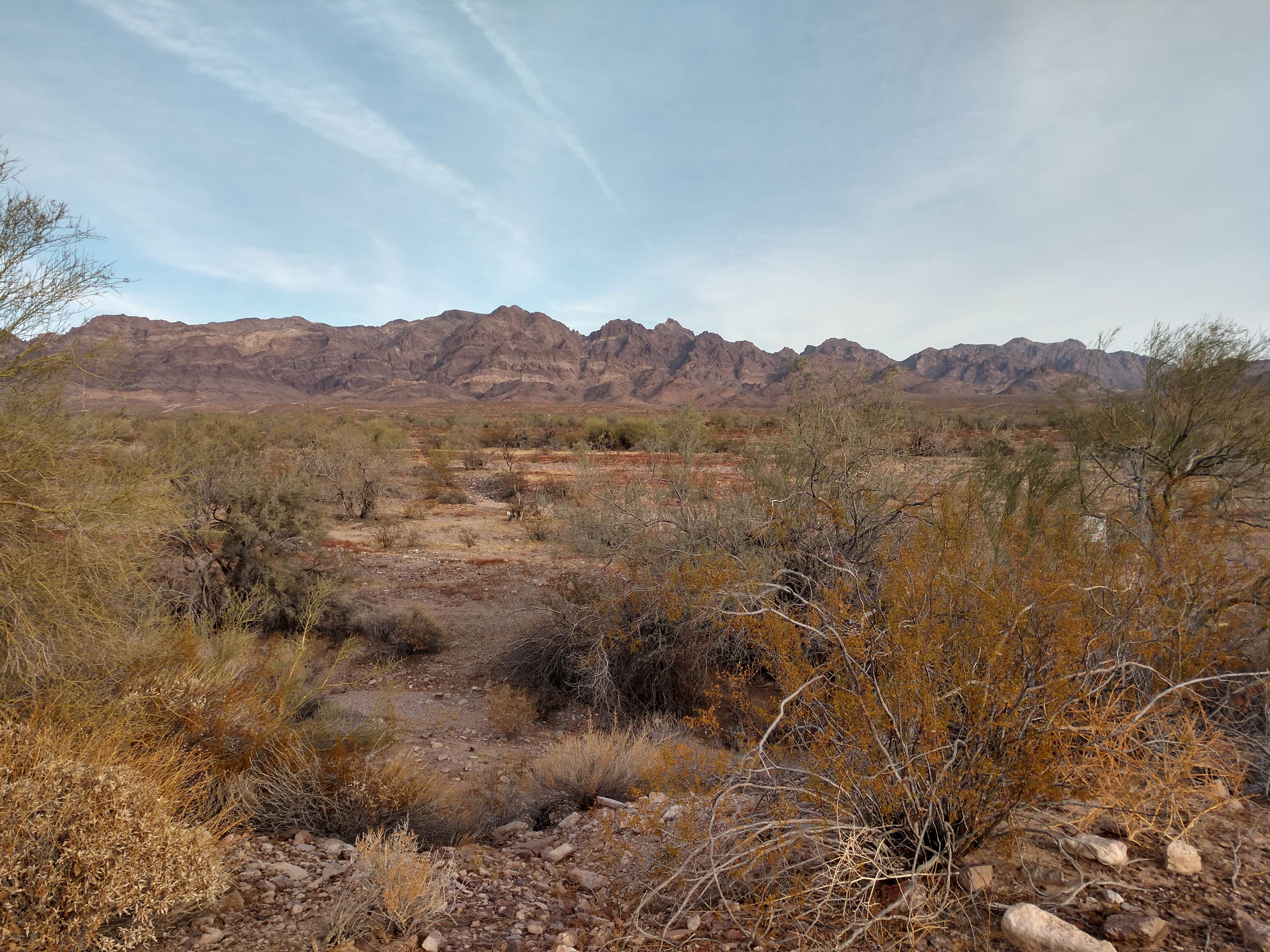 Camper-submitted photo at Kool Corner BLM Campground near Winterhaven, CA