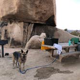 Review photo of White Tank Campground — Joshua Tree National Park by Christopher , February 19, 2021