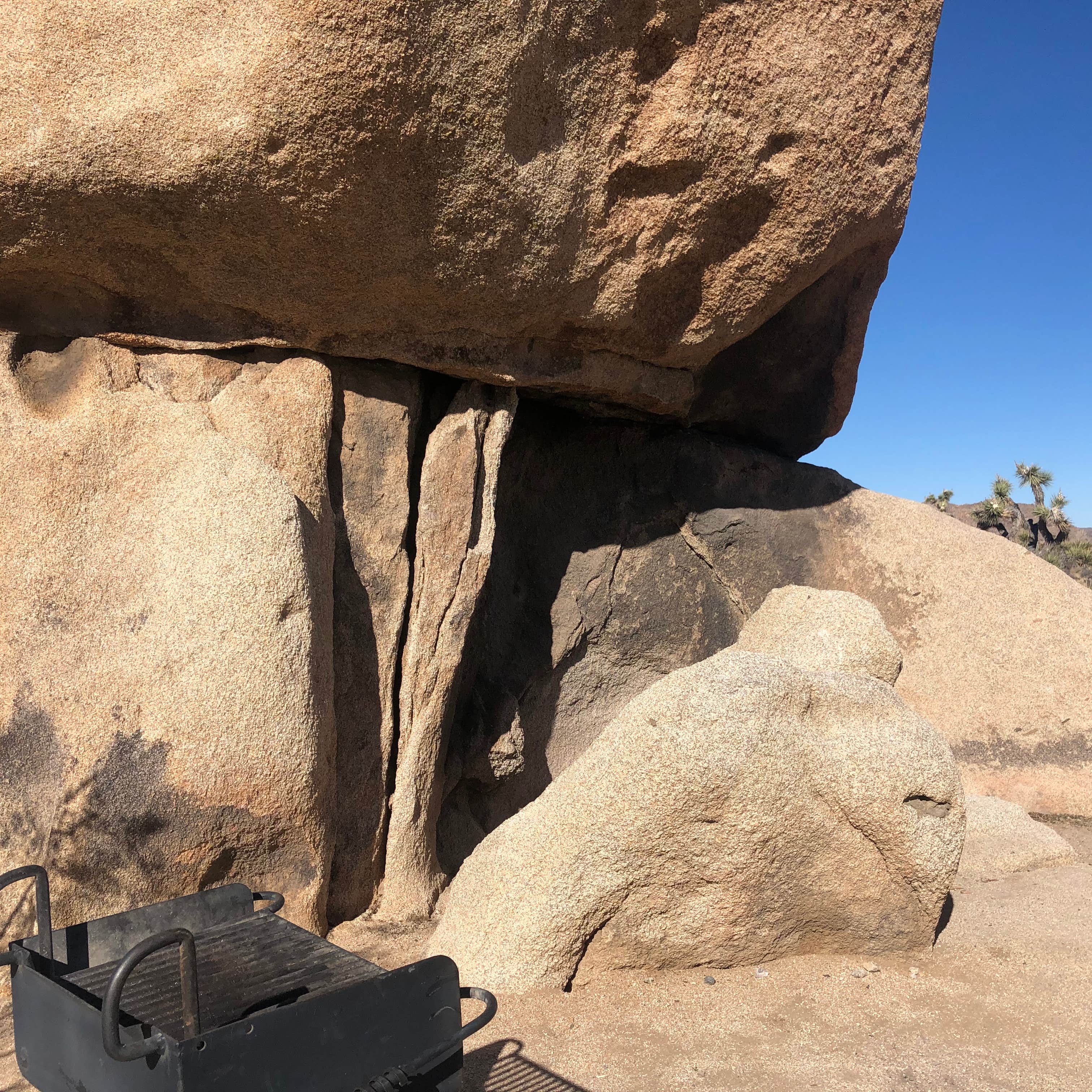 White Tank Campground — Joshua Tree National Park