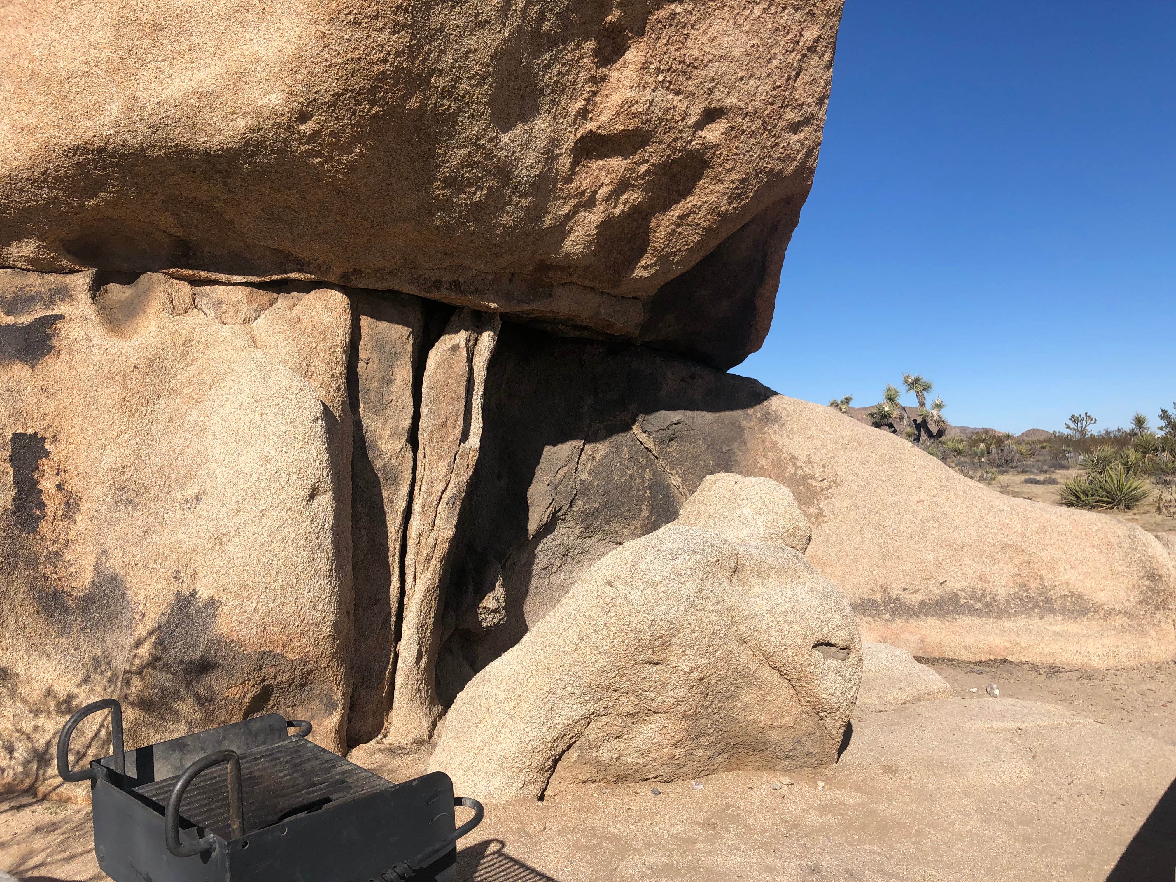 Camper submitted image from White Tank Campground — Joshua Tree National Park - 1