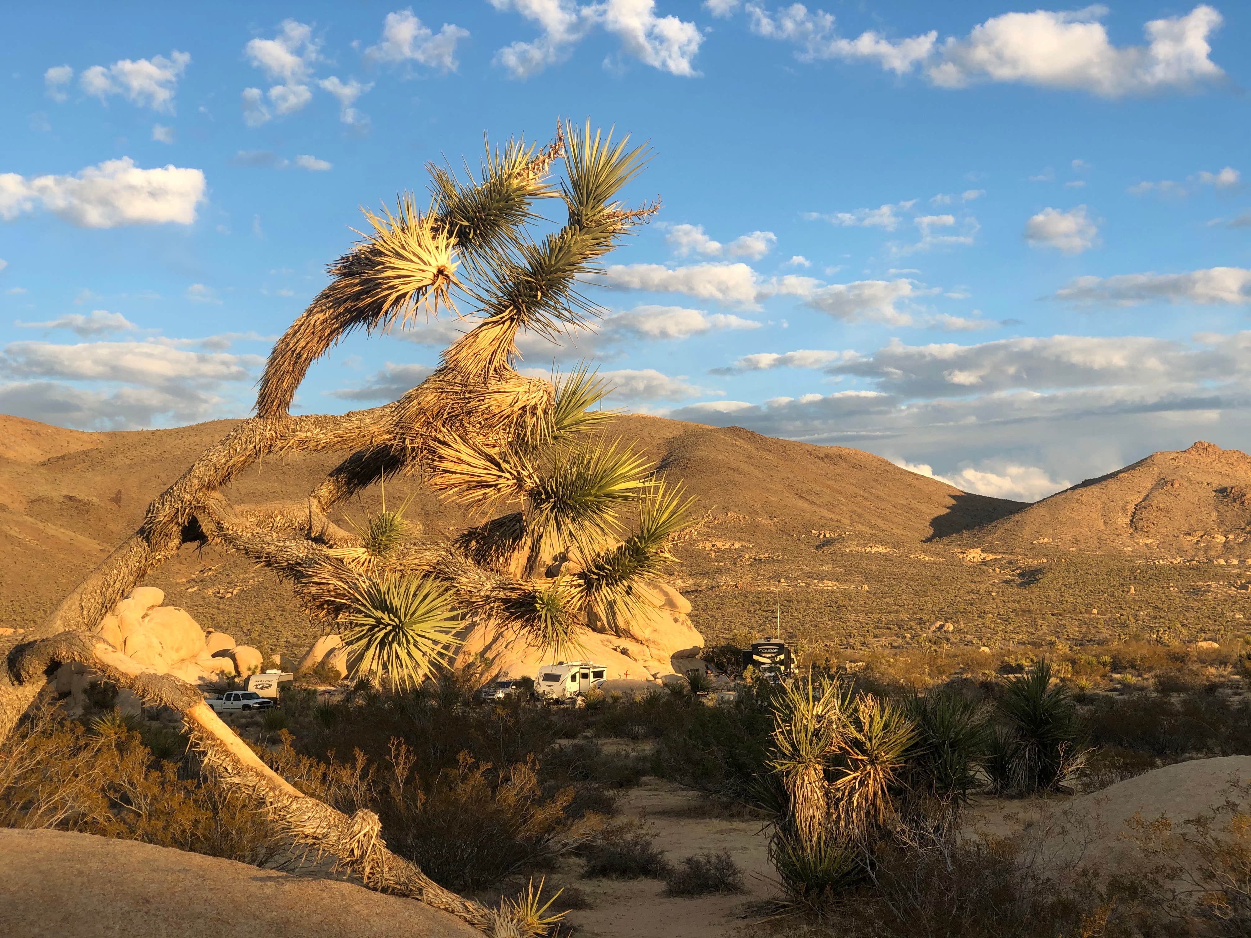 Camper-submitted photo at White Tank Campground — Joshua Tree National Park near Twentynine Palms, CA