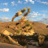 Review photo of White Tank Campground — Joshua Tree National Park by Christopher , February 19, 2021