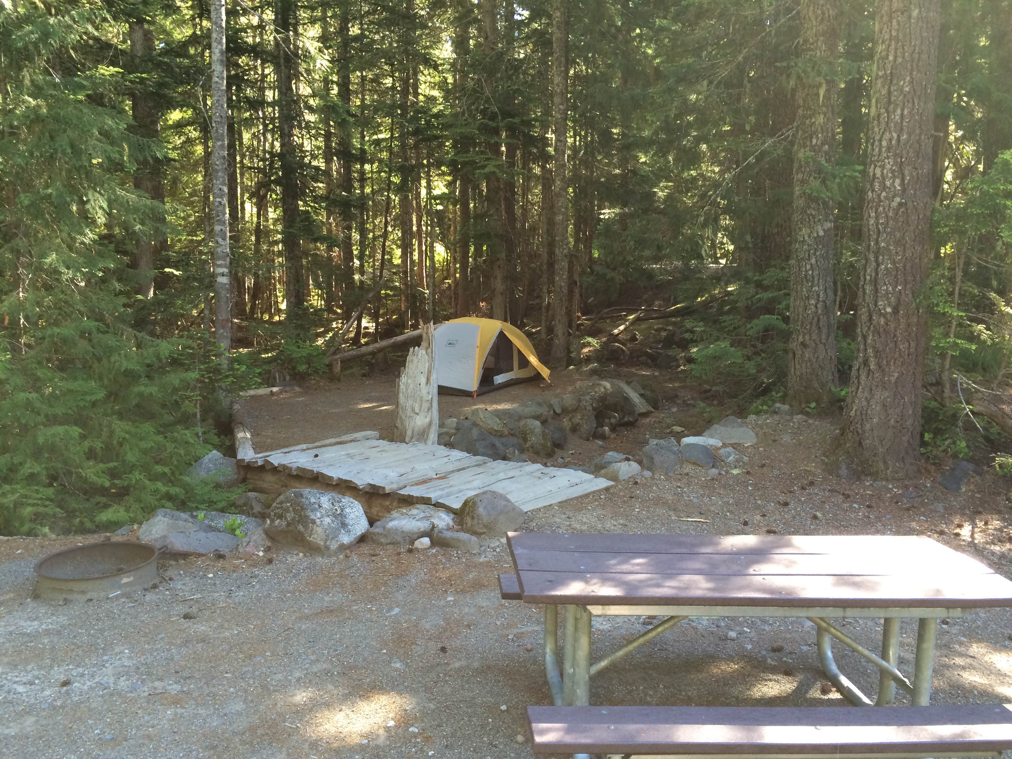 Camper-submitted photo at Cougar Rock Campground — Mount Rainier National Park in Washington