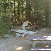 Review photo of Cougar Rock Campground — Mount Rainier National Park by Art S., July 12, 2016