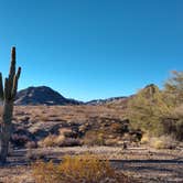 Review photo of Dome Rock Road BLM Dispersed Camping Area by Dee S., February 19, 2021