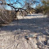 Review photo of Dome Rock Road BLM Dispersed Camping Area by Dee S., February 19, 2021