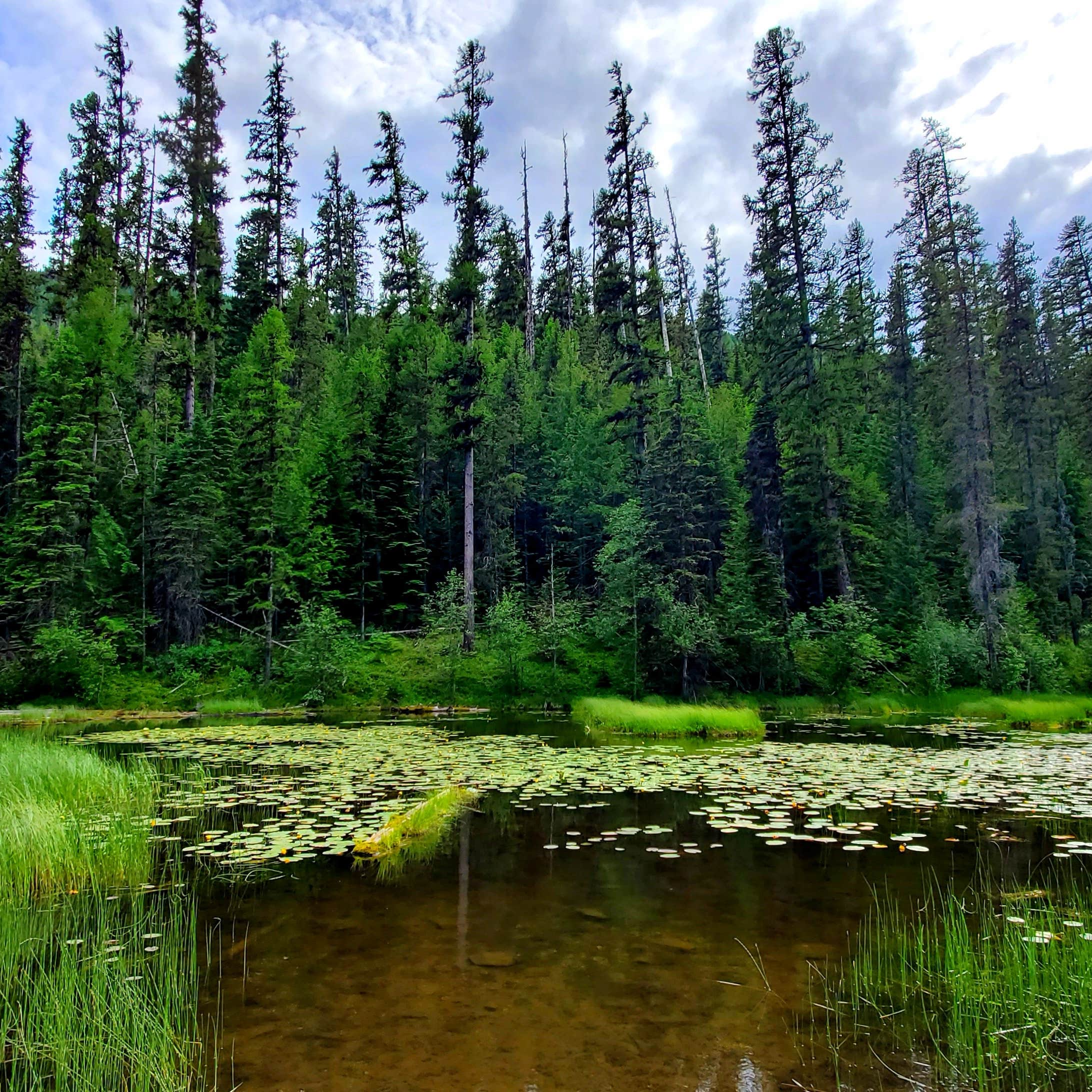 Montana’s Hidden Gem: Loon Lake Campground, Where Nature Calls And Adventure Beckons