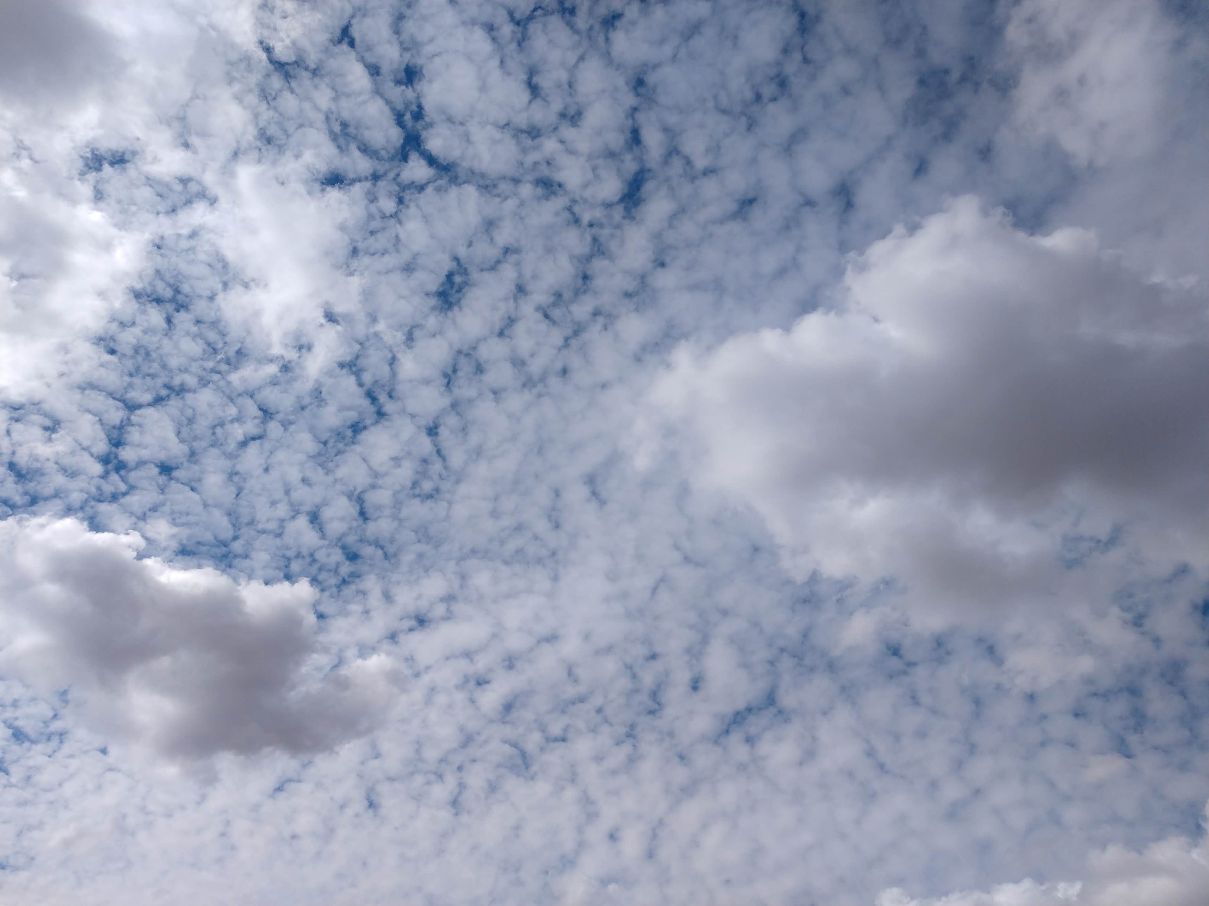 Dee S.'s photo of a dispersed camping area at Boyer Rd Dispersed Camping near Blythe, CA