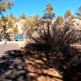 Review photo of Juniper Family Campground — Bandelier National Monument by Robin T., February 19, 2021