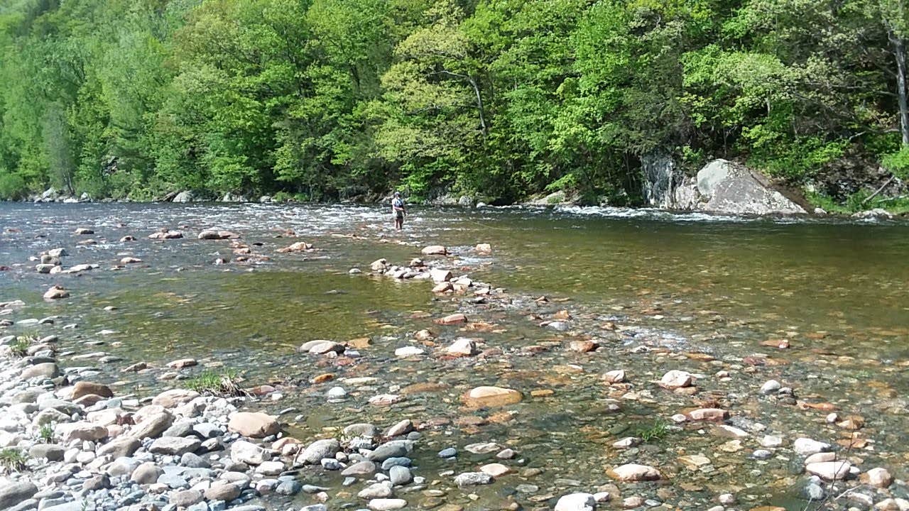 Camper-submitted photo at Mohawk Park Campground & Restaurant near Plainfield, MA