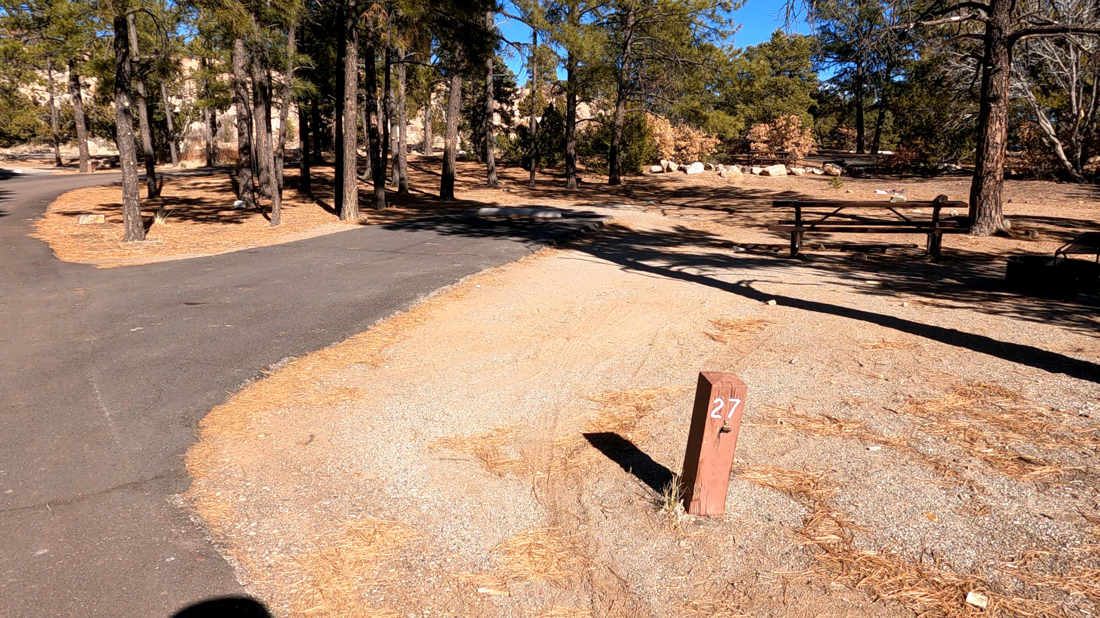 Camper-submitted photo at Juniper Family Campground — Bandelier National Monument near White Rock, NM