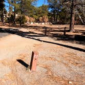 Review photo of Juniper Family Campground — Bandelier National Monument by Robin T., February 19, 2021