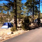 Review photo of Juniper Family Campground — Bandelier National Monument by Robin T., February 19, 2021