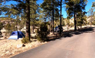 Robin T.'s photo at Juniper Family Campground — Bandelier National Monument near Española, NM