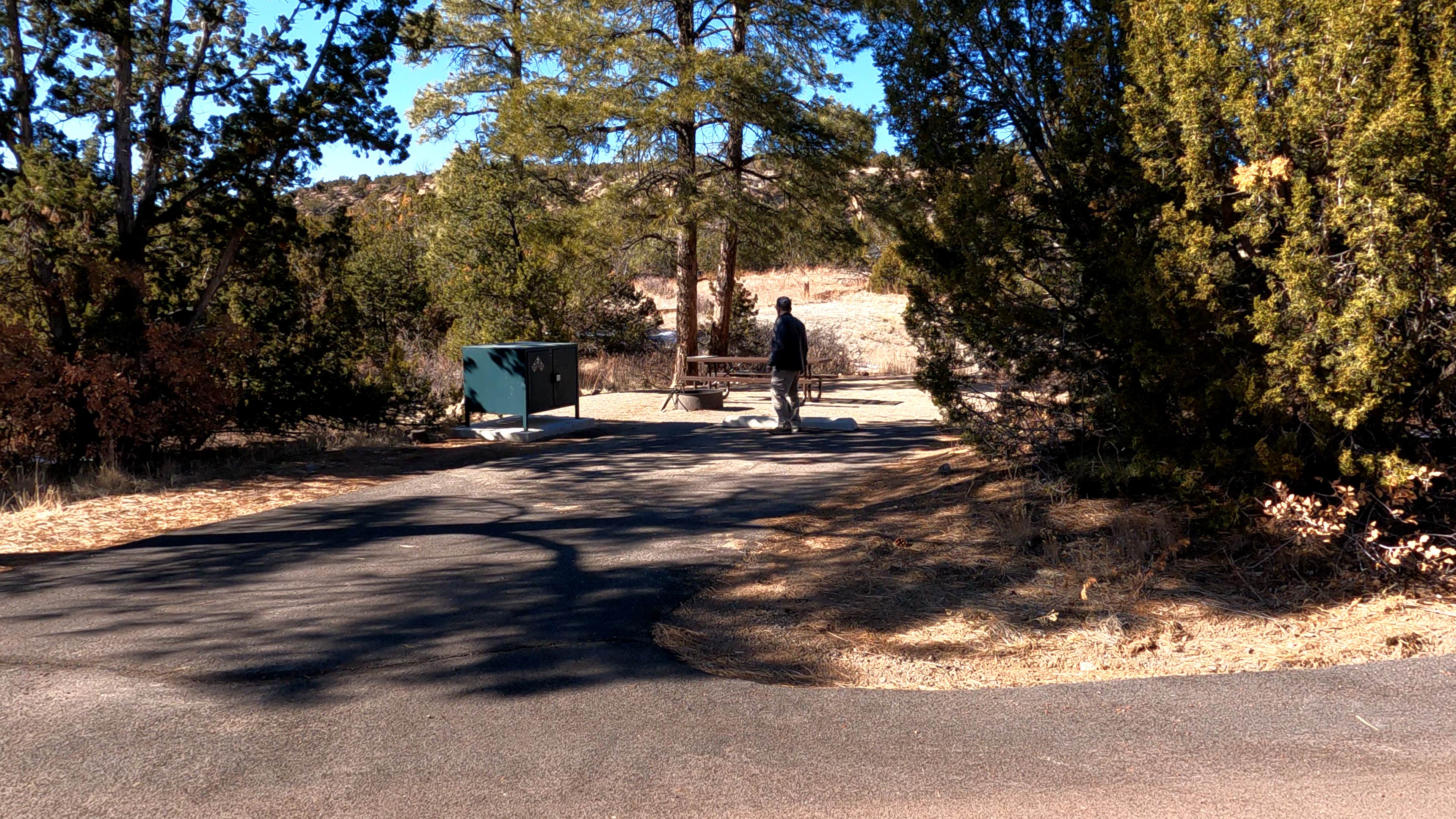 Camper-submitted photo at Juniper Family Campground — Bandelier National Monument near White Rock, NM
