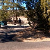 Review photo of Juniper Family Campground — Bandelier National Monument by Robin T., February 19, 2021
