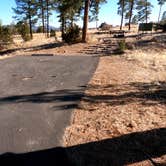 Review photo of Juniper Family Campground — Bandelier National Monument by Robin T., February 19, 2021